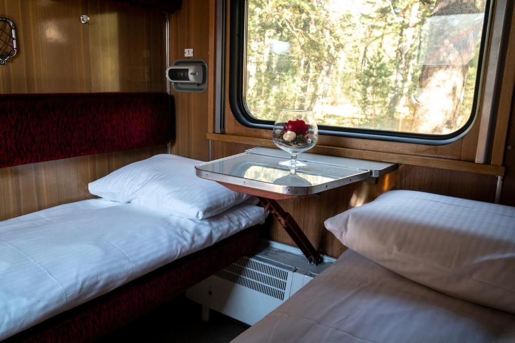 Palanga Camping Compensa Hostel Eksteriør billede